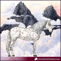 Horse Color:Silver Brown Dun Leopard 