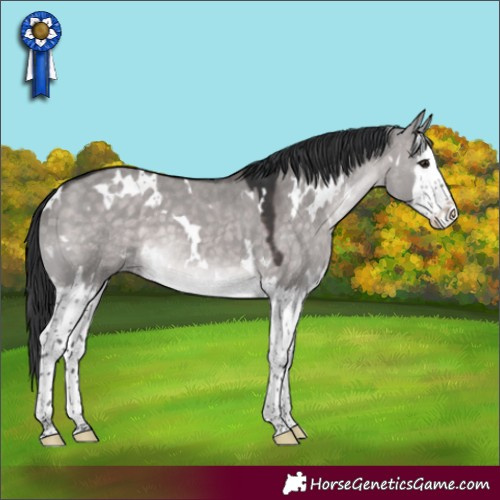 Horse Color:Platinum White Spotted Brown Dun Splash 