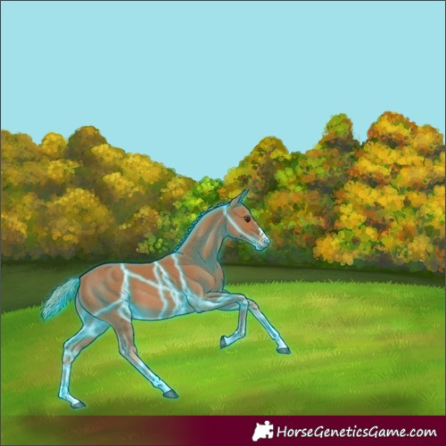 Horse Color:Thunderstruck Chestnut