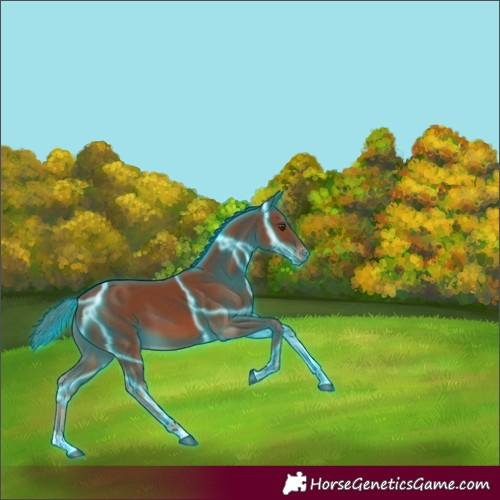 Horse Color:Thunderstruck Chestnut 