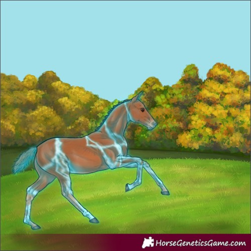 Horse Color:Thunderstruck Chestnut 