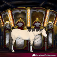 Horse Color:Buckskin Dun 