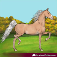 Horse Color:Silver Amber Champagne Frame