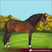 Horse Color:Brown 
