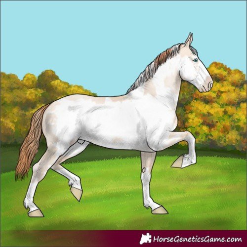 Horse Color:Buckskin Pearl Dun Frame 