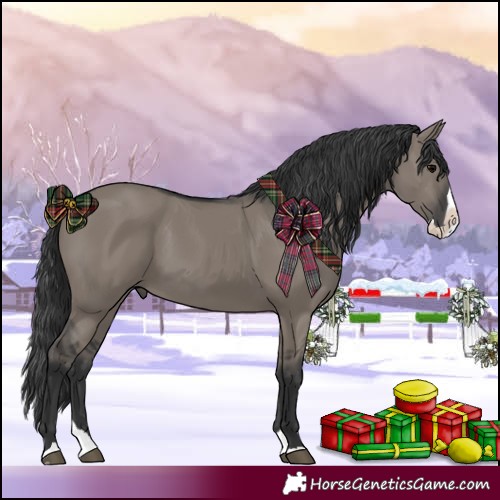 Horse Color:Grullo Splash 