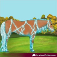 Horse Color:Thunderstruck Silver Bay 