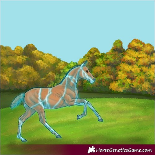 Horse Color:Thunderstruck Chestnut