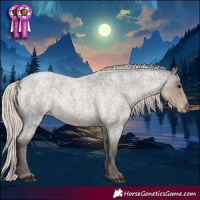 Horse Color:Silver Smoky Blue Roan Appaloosa Rabicano