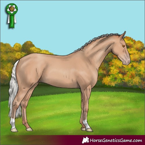 Horse Color:Silver Classic Champagne 