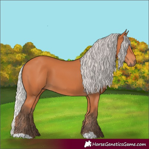 Horse Color:Silver Bay 
