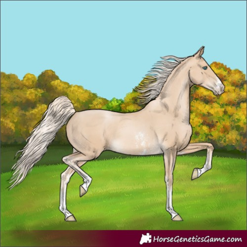 Horse Color:Palomino Pearl Sabino Rabicano 