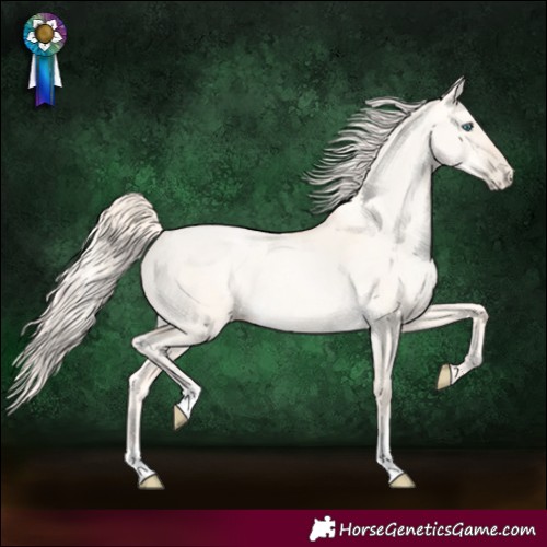 Horse Color:Gold Cream Champagne Pearl Dun 
