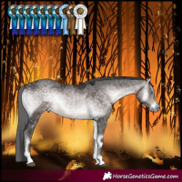 Horse Color:Platinum Buckskin Onyx Merle Rabicano 