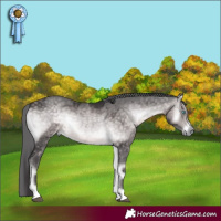 Horse Color:Platinum Buckskin Onyx Merle Rabicano 