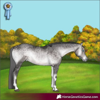 Horse Color:Platinum Buckskin Onyx Merle Rabicano