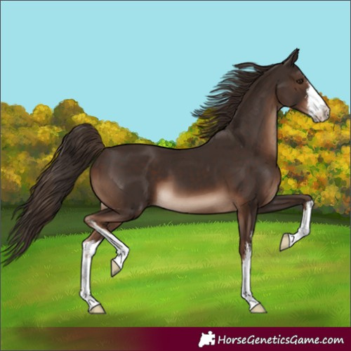 Horse Color:White Spotted Liver Chestnut 