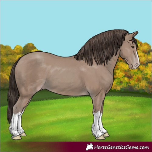 Horse Color:Classic Champagne Splash 