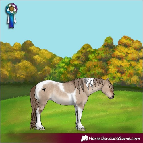 Horse Color:Liver Red Dun Tobiano Rabicano