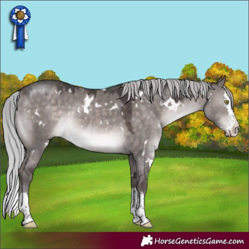 Horse Color:Platinum White Spotted Silver Brown Dun Splash Rabicano 