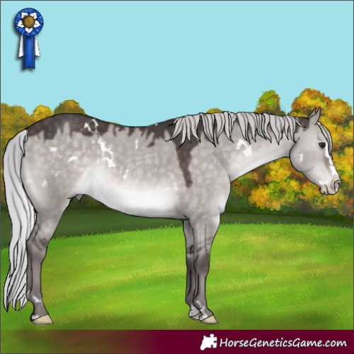 Horse Color:Platinum White Spotted Silver Brown Dun Splash Rabicano 