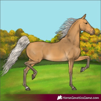 Horse Color:Silver Buckskin