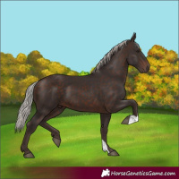 Horse Color:Silver Brown