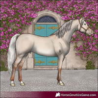 Horse Color:Silver Sable Champagne Dun
