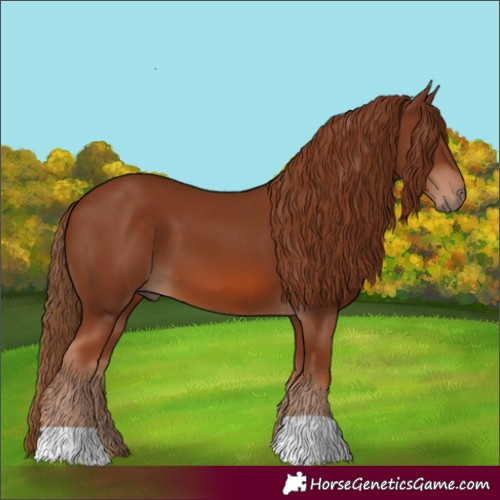 Horse Color:Chestnut 