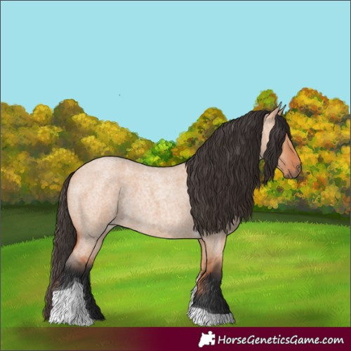 Horse Color:Bay Roan Dun Tobiano