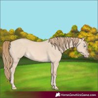 Horse Color:Perlino Dun