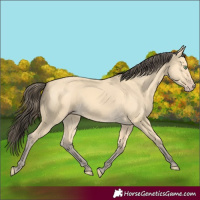 Horse Color:Amber Cream Champagne 