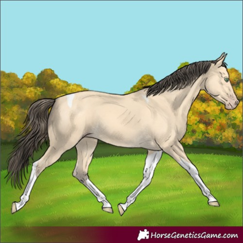 Horse Color:Amber Cream Champagne Tobiano