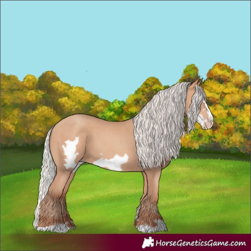 Horse Color:Unknown 
