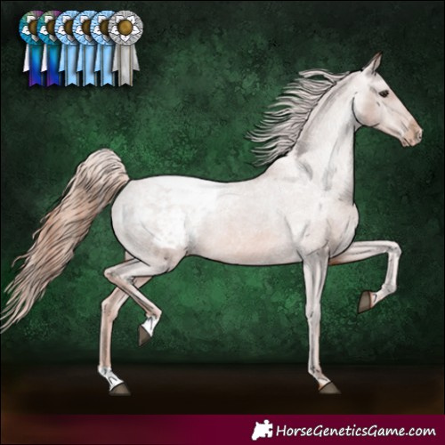 Horse Color:Chestnut Snowcap 