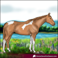 Horse Color:Chestnut Tobiano 