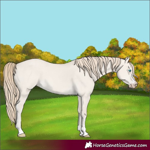 Horse Color:Smoky Creme Dun