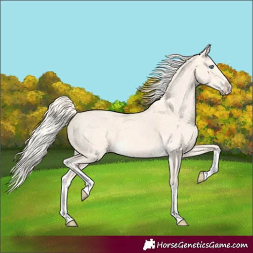 Horse Color:Cremello Dun Splash  and Cremello Dun Splash 