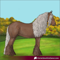 Horse Color:Silver Black 