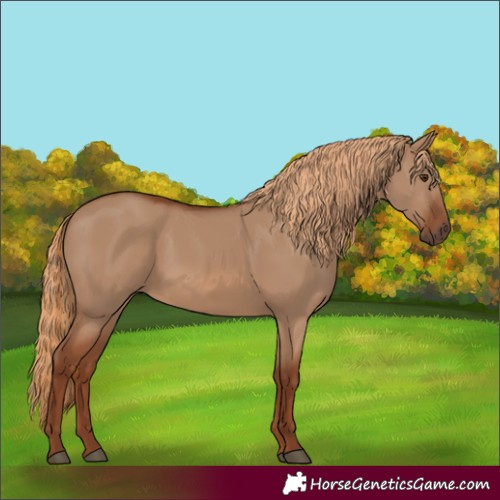 Horse Color:Red Dun