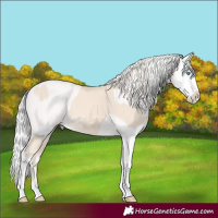 Horse Color:Cremello Splash and Cremello Splash