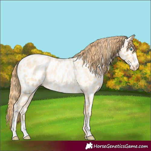 Horse Color:Buckskin Roan Pearl Appaloosa and Buckskin Roan Pearl Appaloosa
