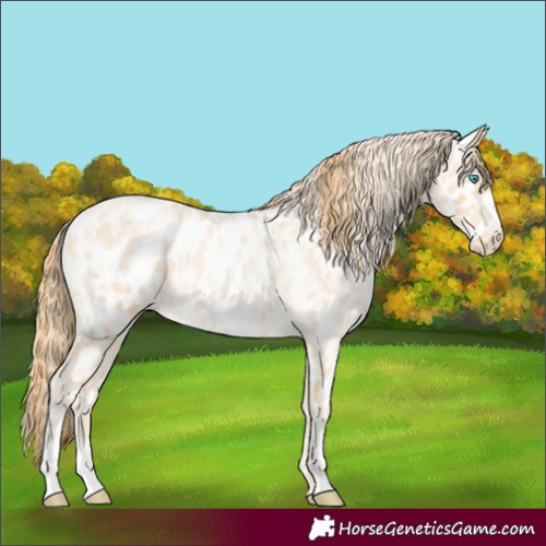 Horse Color:Buckskin Roan Pearl Appaloosa  and Buckskin Roan Pearl Appaloosa 