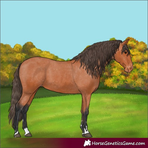 Horse Color:Unknown 