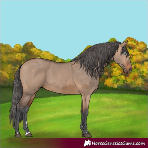 Horse Color:Unknown 