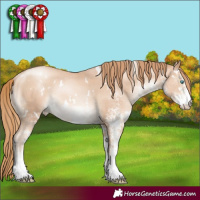 Horse Color:White Spotted Gold Champagne Pearl Rabicano 