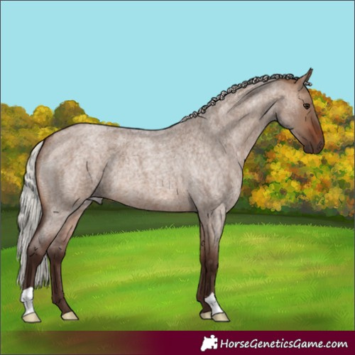 Horse Color:Silver Brown Roan Dun 
