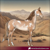 Horse Color:White Spotted Bay Pearl 