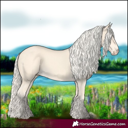 Horse Color:Cremello 