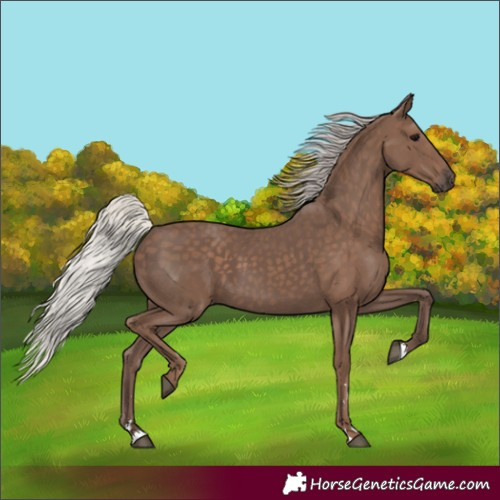 Horse Color:Silver Black 